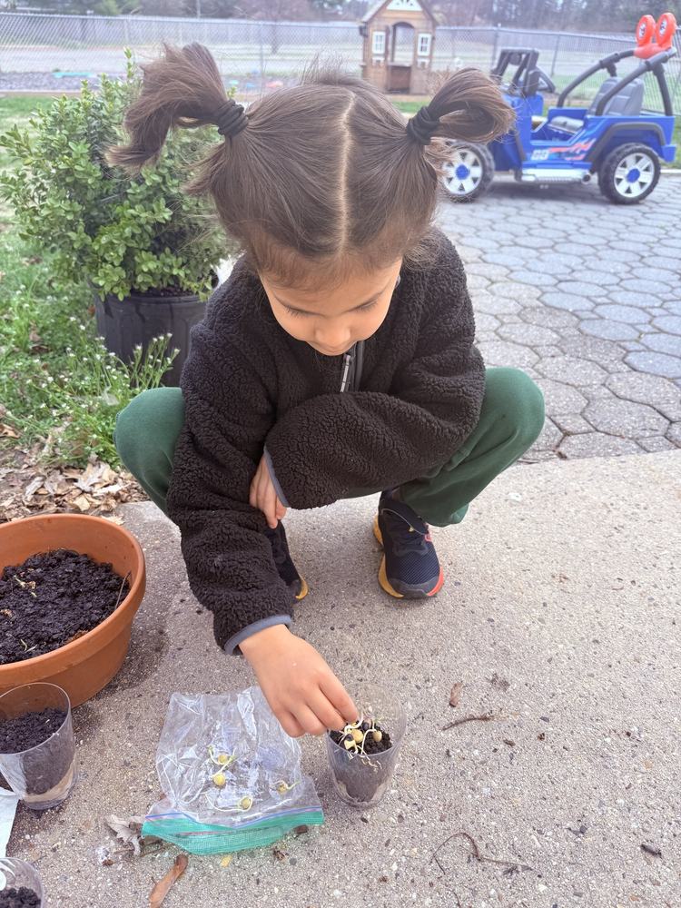 Child planting seeds in an outdoor nature and gardening activity
